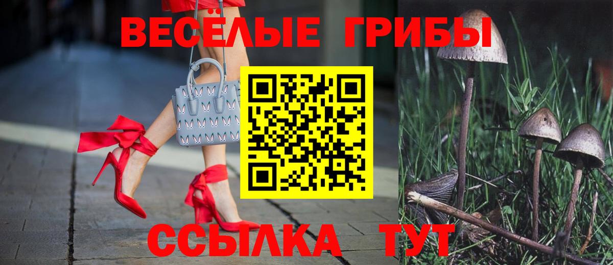 Железногорск  Галлюциногенные грибы Psilocybine cubensis  наркошоп  Вход с VPN 