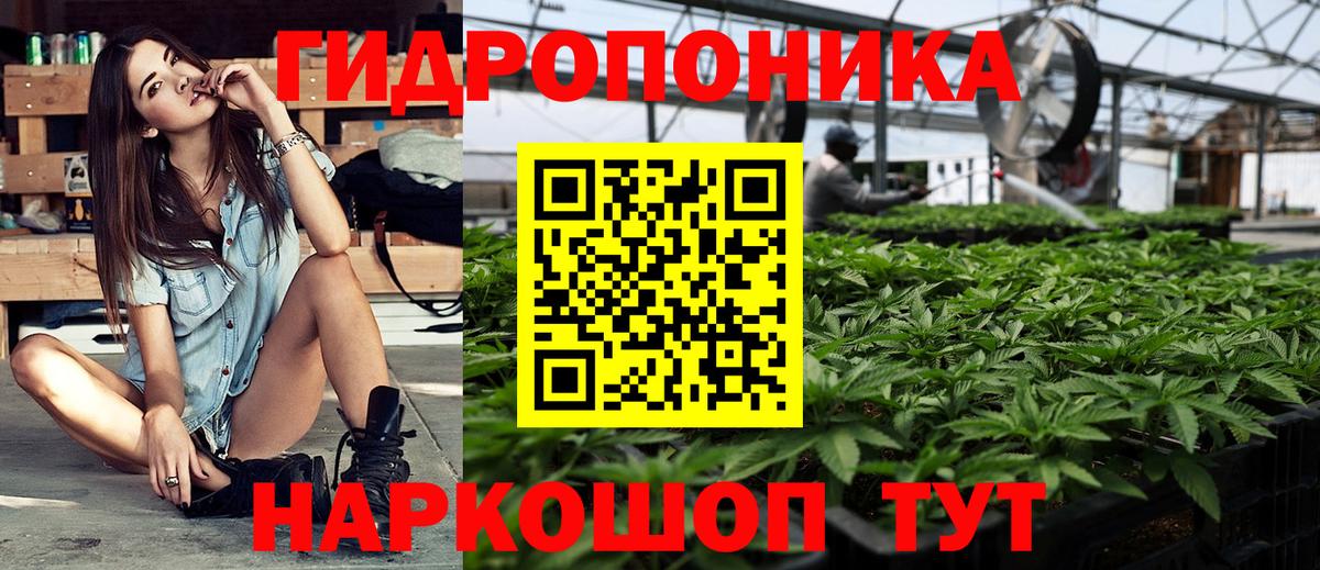 Конопля OG Kush  Бошки Шишки AK-47  Железногорск  Конопля THC 21%  Шишки марихуана гибрид  Вход с VPN 